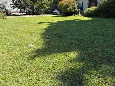 Lawn care service in Hopkinsville, 42240