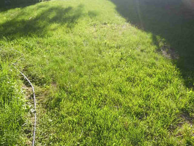 Lawn care service in Spokane, 99203