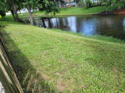 Lawn care service in Jacksonville, 32217