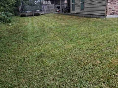 Lawn care service in Denham Springs, 70706