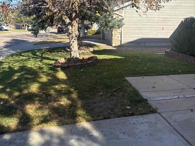 Lawn care service in Parker, 80134