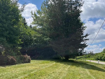 Lawn care service in Akron, 44320