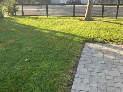 Lawn care service in Davis, 95616