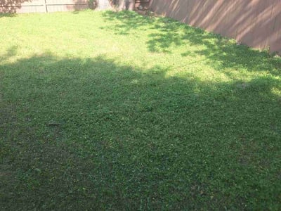 Lawn care service in Austin, 78757