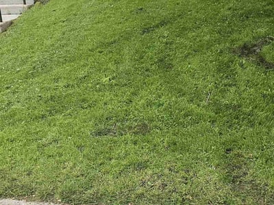 Lawn care service in Waukesha, 53188