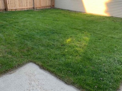 Lawn care service in , 