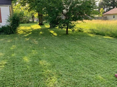 Lawn care service in Indianapolis, 46241