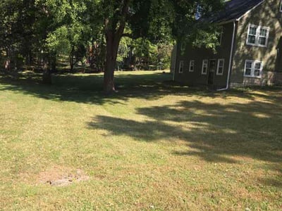 Lawn care service in Kansas City, 64116