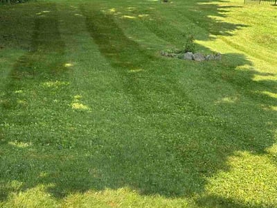 Lawn care service in New Windsor, 12553