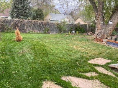 Lawn care service in Colorado Springs, 80907
