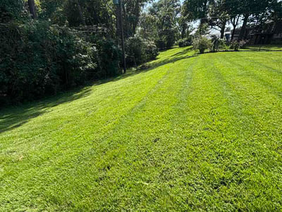 Lawn care service in St. Louis, 63126