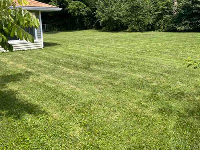 Lawn care service in Dayton, 45406