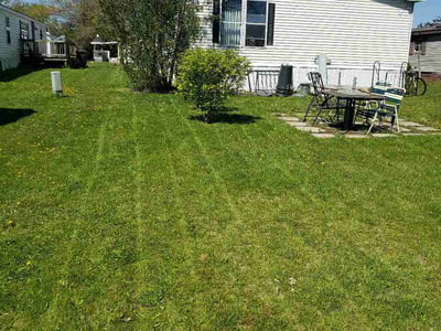 Lawn care service in Shelby Township, 48317