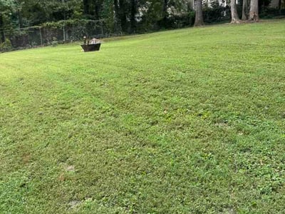 Lawn care service in Marietta, 30068