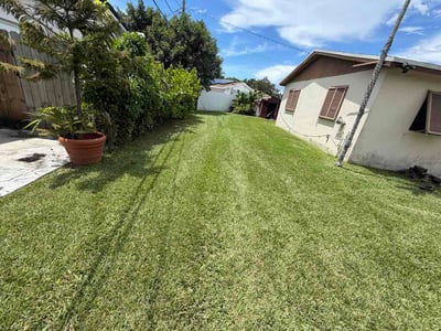 Lawn care service in Cutler Bay, 33157