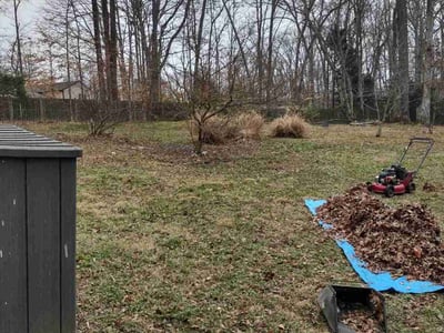 Lawn care service in Springfield, 22153
