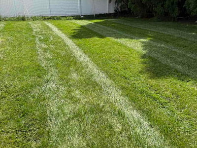 Lawn care service in Vienna, 22180