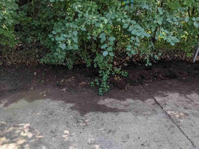 Lawn care service in Ann Arbor, 48108