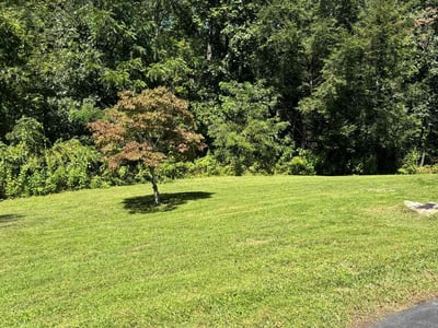 Lawn care service in Roanoke, 24018