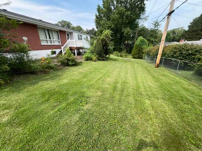 Lawn care service in St. Louis, 63135