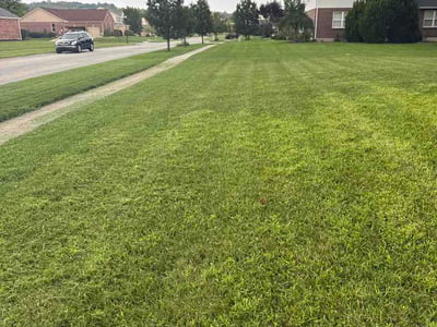 Lawn care service in West Chester Township, 45069