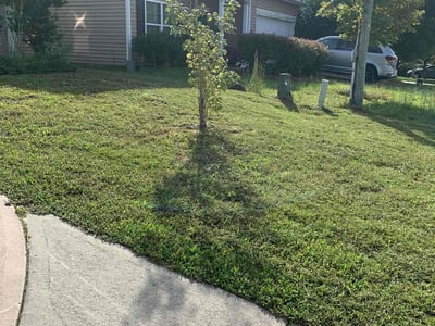 Lawn care service in Raleigh, 27610