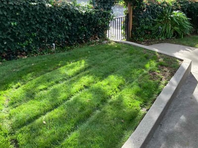 Lawn care service in Newcastle, 95658