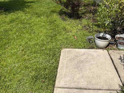 Lawn care service in Charleston, 29414