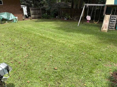 Lawn care service in Tallahassee, 32303