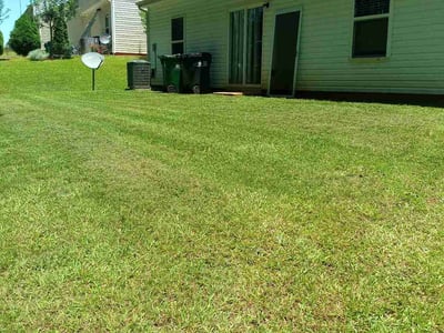 Lawn care service in Charlotte, 28215
