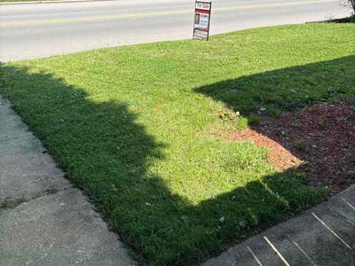 Lawn care service in Mansfield, 44902