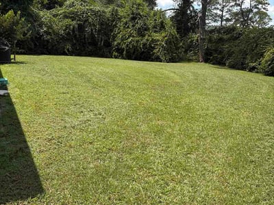 Lawn care service in Valdosta, 31602