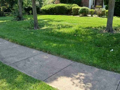 Lawn care service in Linton Hall, 20136