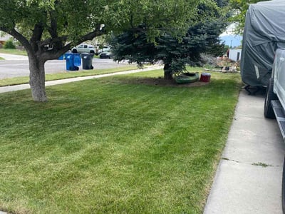 Lawn care service in American Fork, 84003