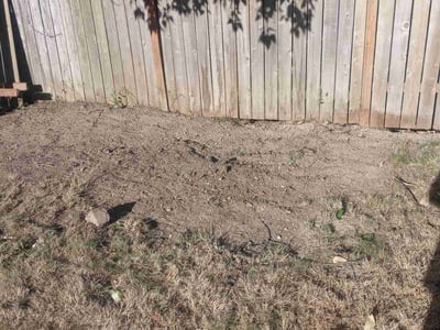 Lawn care service in , 