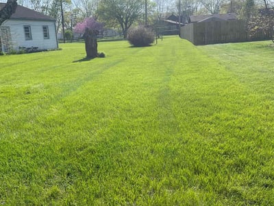Lawn care service in Moraine, 45439