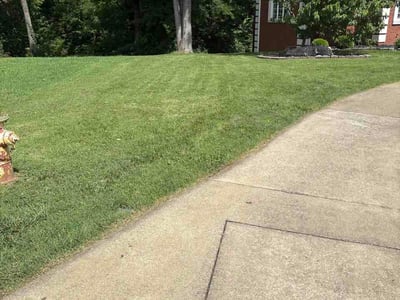 Lawn care service in Smyrna, 37167