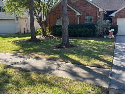 Lawn care service in League City, 77573