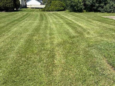 Lawn care service in Country Club Hills, 60478