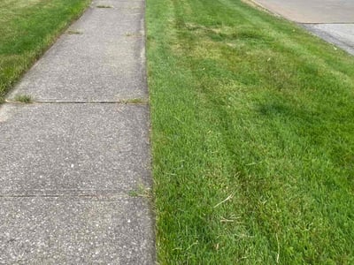 Lawn care service in Brook Park, 44142
