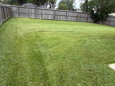 Lawn care service in Houston, 77044