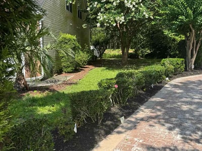 Lawn care service in Myrtle Beach, 29579