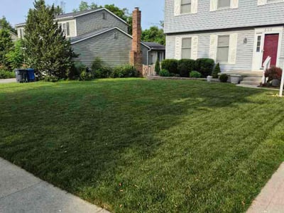 Lawn care service in Columbus, 43230