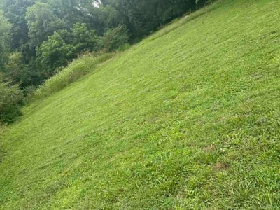 Lawn care service in Nashville, 37076