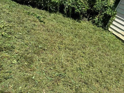 Lawn care service in Tulsa, 74106