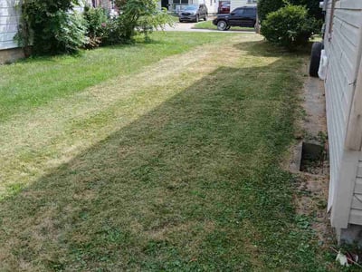 Lawn care service in Youngstown, 44507