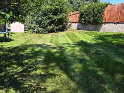 Lawn care service in Bloomington, 55431