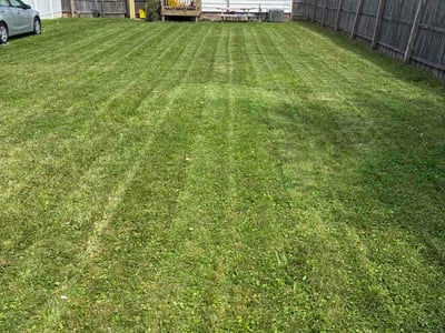 Lawn care service in Parma, 44129