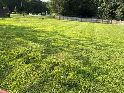 Lawn care service in Olney, 20832