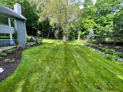 Lawn care service in Minnetonka, 55345